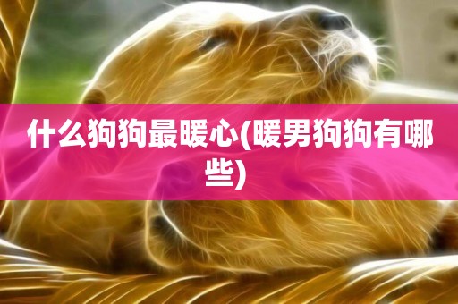 什么狗狗最暖心(暖男狗狗有哪些) 