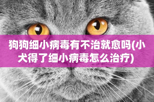 狗狗細小病毒有不治就愈嗎(小犬得了細小病毒怎么治療) 