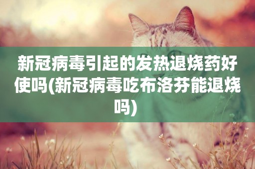 新冠病毒引起的發熱退燒藥好使嗎(新冠病毒吃布洛芬能退燒嗎) 