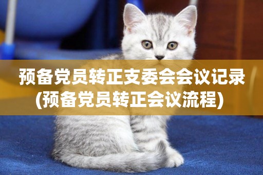 預備黨員轉正支委會會議記錄(預備黨員轉正會議流程) 
