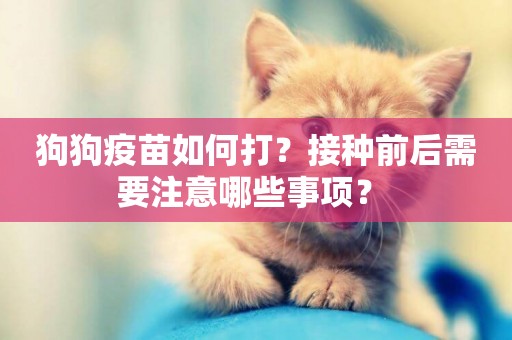 狗狗疫苗如何打？接種前后需要注意哪些事項？ 