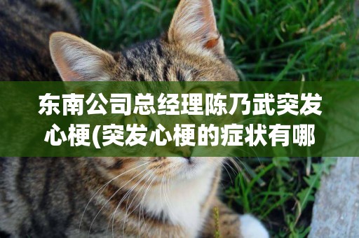東南公司總經理陳乃武突發心梗(突發心梗的癥狀有哪些) 