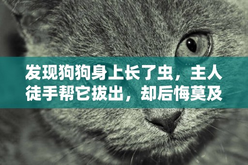 發現狗狗身上長了蟲，主人徒手幫它拔出，卻后悔莫及 