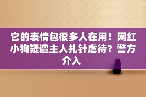 它的表情包很多人在用！網紅小狗疑遭主人扎針虐待？警方介入 