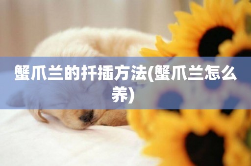 蟹爪蘭的扦插方法(蟹爪蘭怎么養) 
