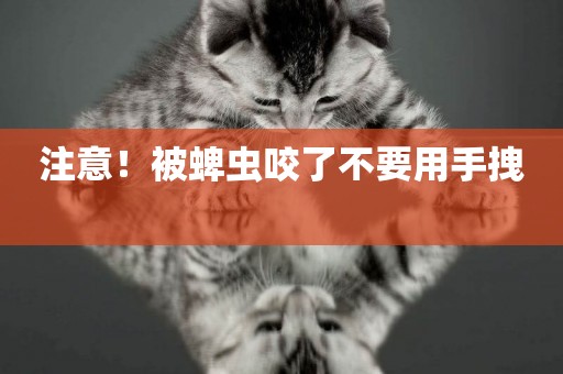 注意！被蜱蟲咬了不要用手拽 