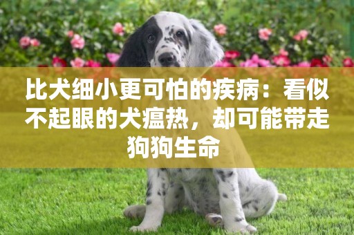 比犬細小更可怕的疾病：看似不起眼的犬瘟熱，卻可能帶走狗狗生命 