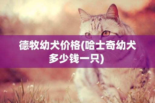 德牧幼犬價格(哈士奇幼犬多少錢一只) 