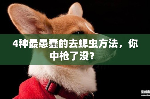 4種最愚蠢的去蜱蟲方法，你中槍了沒？ 