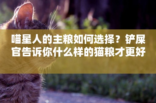 喵星人的主糧如何選擇？鏟屎官告訴你什么樣的貓糧才更好 