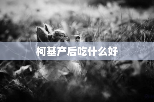 柯基產后吃什么好