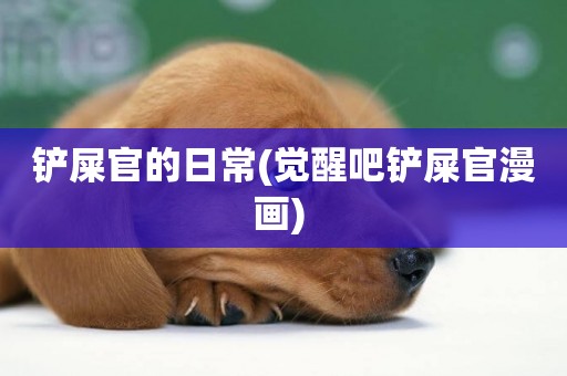 鏟屎官的日常(覺醒吧鏟屎官漫畫) 