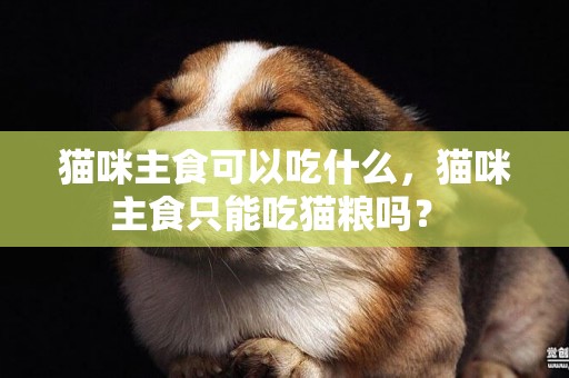 貓咪主食可以吃什么，貓咪主食只能吃貓糧嗎？ 