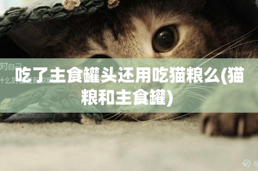 吃了主食罐頭還用吃貓糧么(貓糧和主食罐) 