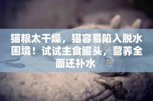 貓糧太干燥，貓容易陷入脫水困境！試試主食罐頭，營養全面還補水 
