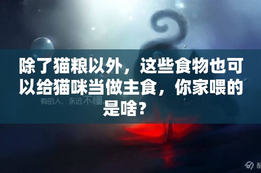 除了貓糧以外，這些食物也可以給貓咪當做主食，你家喂的是啥？ 