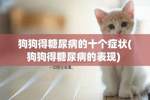 狗狗得糖尿病的十個癥狀(狗狗得糖尿病的表現) 