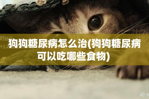 狗狗糖尿病怎么治(狗狗糖尿病可以吃哪些食物) 