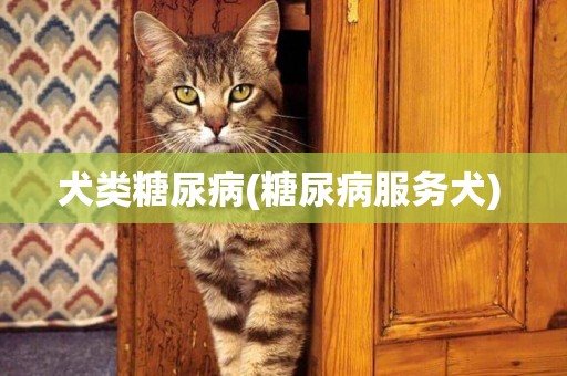 犬類糖尿病(糖尿病服務犬) 