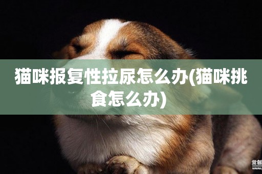 貓咪報復性拉尿怎么辦(貓咪挑食怎么辦) 