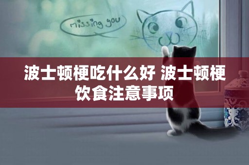 波士頓梗吃什么好 波士頓梗飲食注意事項