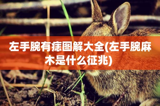 左手腕有痣圖解大全(左手腕麻木是什么征兆) 