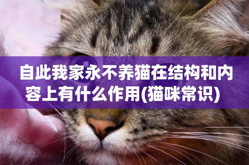 自此我家永不養貓在結構和內容上有什么作用(貓咪常識) 
