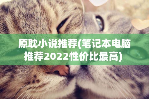 原耽小說推薦(筆記本電腦推薦2022性價比最高) 