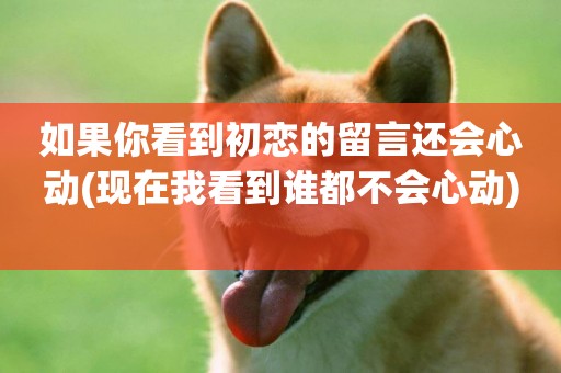如果你看到初戀的留言還會心動(現在我看到誰都不會心動) 