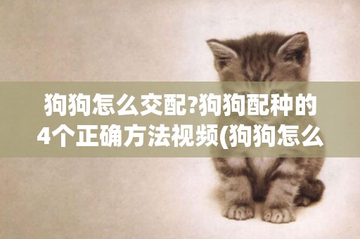 狗狗怎么交配?狗狗配種的4個正確方法視頻(狗狗怎么交配?狗狗配種的4個正確方法圖片) 