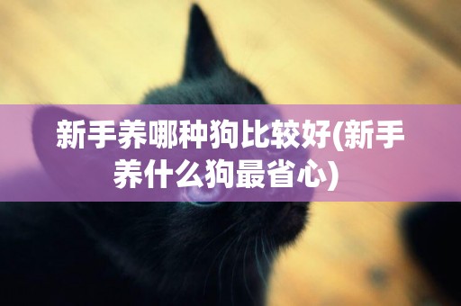 新手養哪種狗比較好(新手養什么狗最省心) 