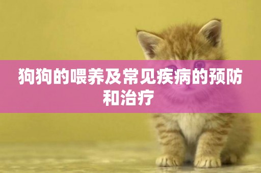 狗狗的喂養及常見疾病的預防和治療 
