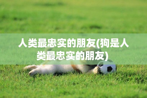 人類最忠實的朋友(狗是人類最忠實的朋友) 
