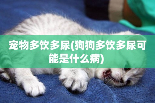 寵物多飲多尿(狗狗多飲多尿可能是什么病) 
