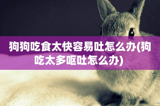 狗狗吃食太快容易吐怎么辦(狗吃太多嘔吐怎么辦) 