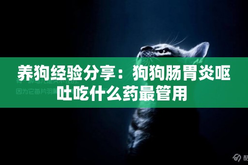養狗經驗分享：狗狗腸胃炎嘔吐吃什么藥最管用 