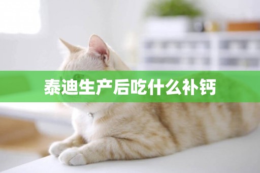泰迪生產后吃什么補鈣