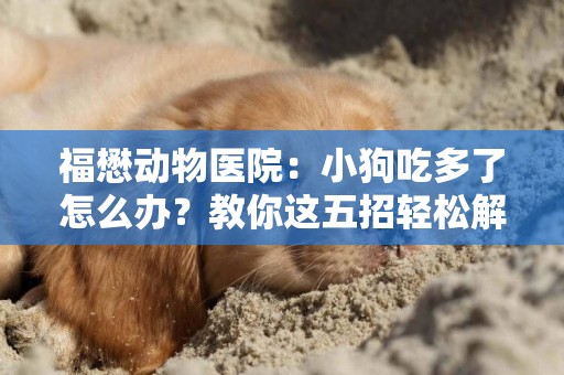 福懋動物醫院：小狗吃多了怎么辦？教你這五招輕松解決 