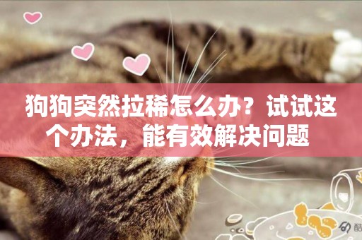 狗狗突然拉稀怎么辦？試試這個辦法，能有效解決問題 