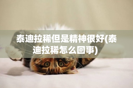 泰迪拉稀但是精神很好(泰迪拉稀怎么回事) 