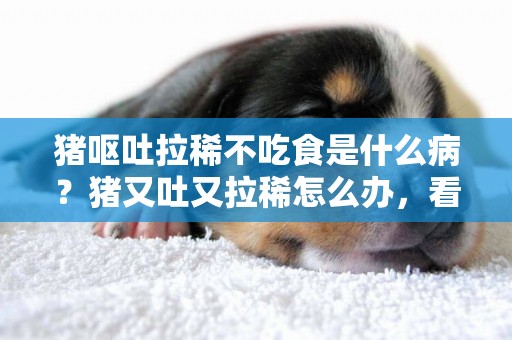 豬嘔吐拉稀不吃食是什么病？豬又吐又拉稀怎么辦，看完請收藏 