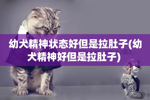 幼犬精神狀態好但是拉肚子(幼犬精神好但是拉肚子) 