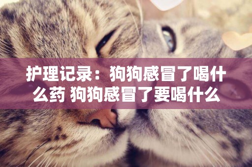 護理記錄：狗狗感冒了喝什么藥 狗狗感冒了要喝什么沖劑 