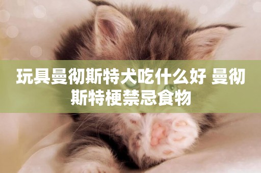玩具曼徹斯特犬吃什么好 曼徹斯特梗禁忌食物