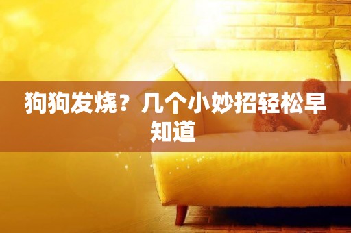 狗狗發燒？幾個小妙招輕松早知道 