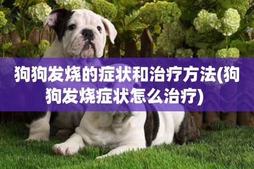 狗狗發燒的癥狀和治療方法(狗狗發燒癥狀怎么治療) 