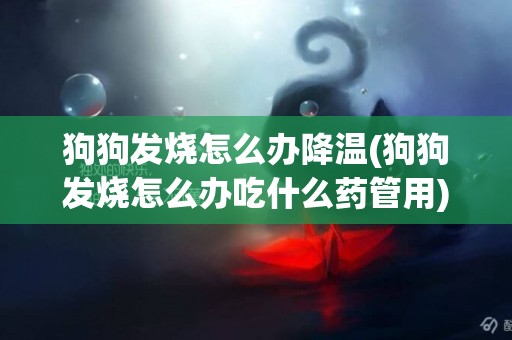狗狗發燒怎么辦降溫(狗狗發燒怎么辦吃什么藥管用) 