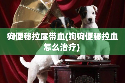 狗便秘拉屎帶血(狗狗便秘拉血怎么治療) 