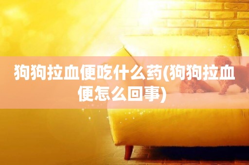 狗狗拉血便吃什么藥(狗狗拉血便怎么回事) 