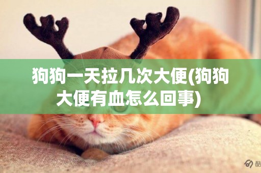 狗狗一天拉幾次大便(狗狗大便有血怎么回事) 